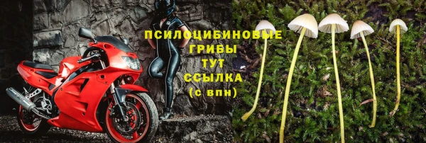 твердый Переславль-Залесский
